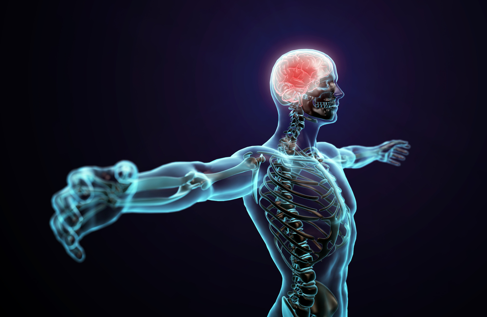 chronic pain central nervous system