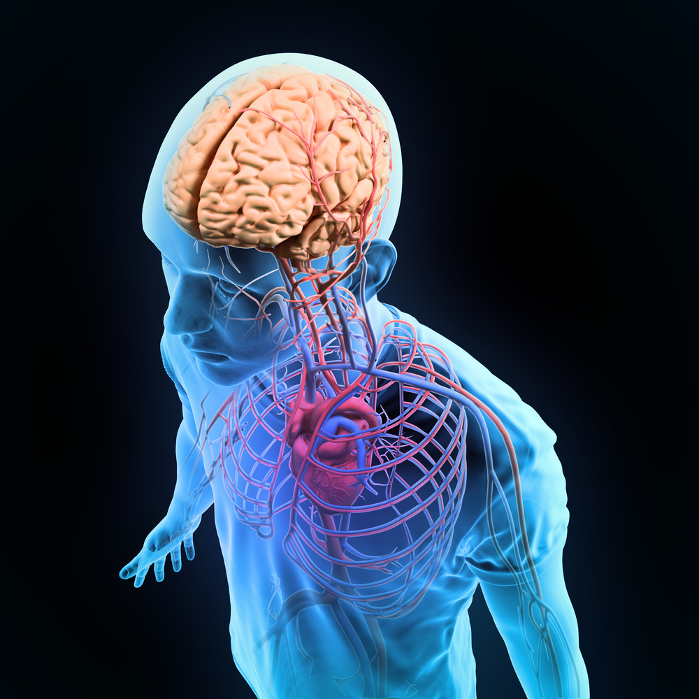 physiology-chronic-pain