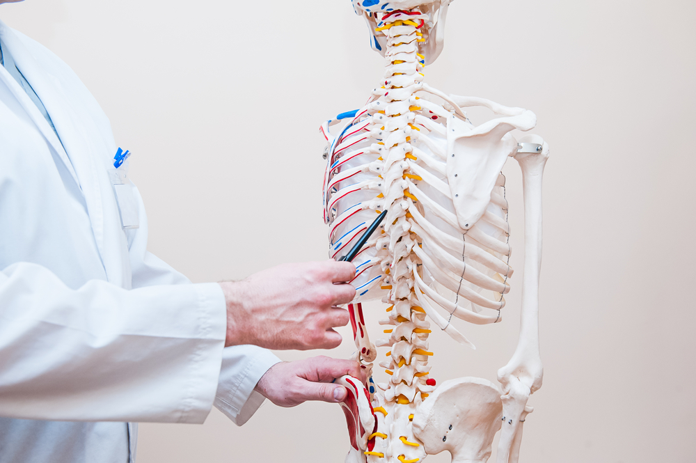 spinal cord injuries affect the body