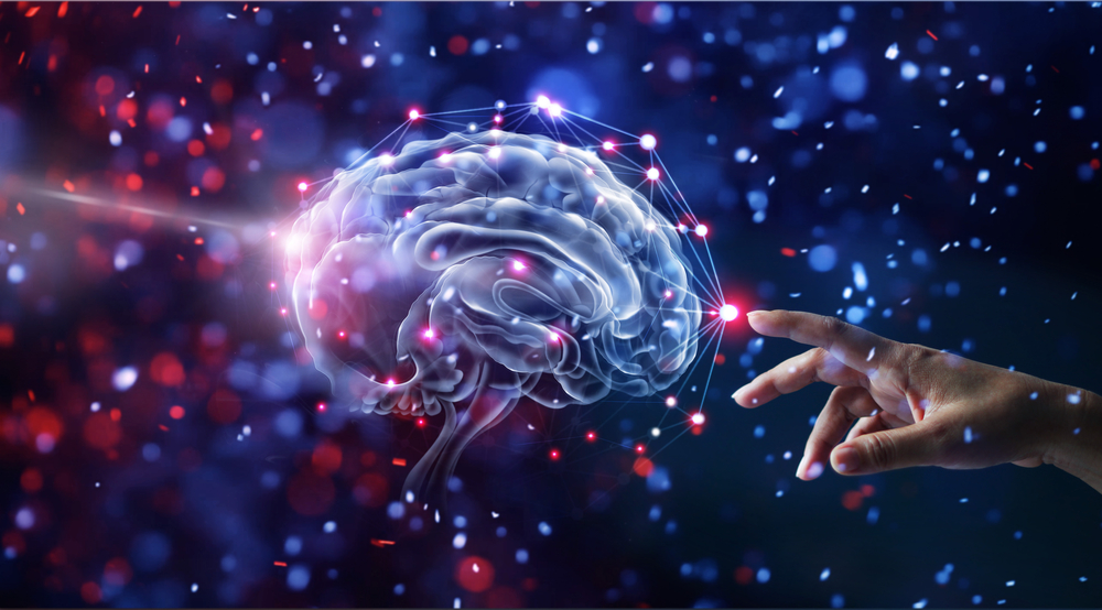 nervous system and the brain