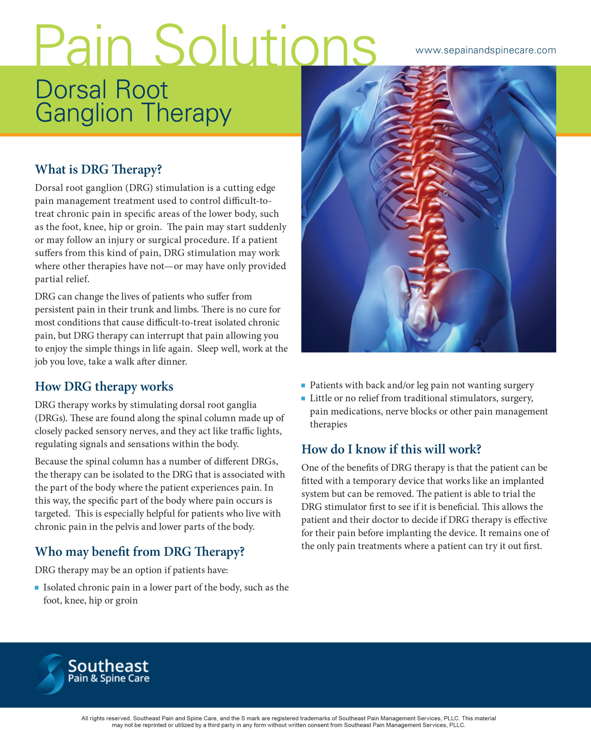 Dorsal Root Ganglion