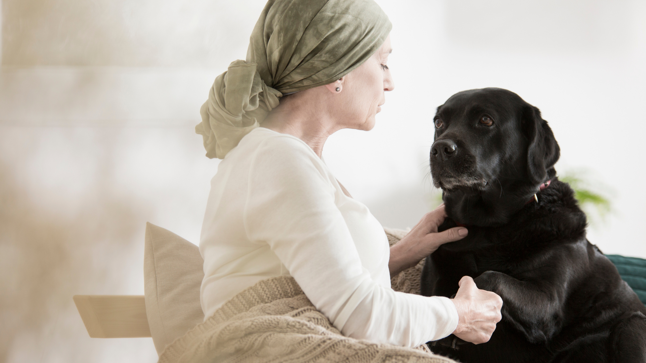 cancer pain patient