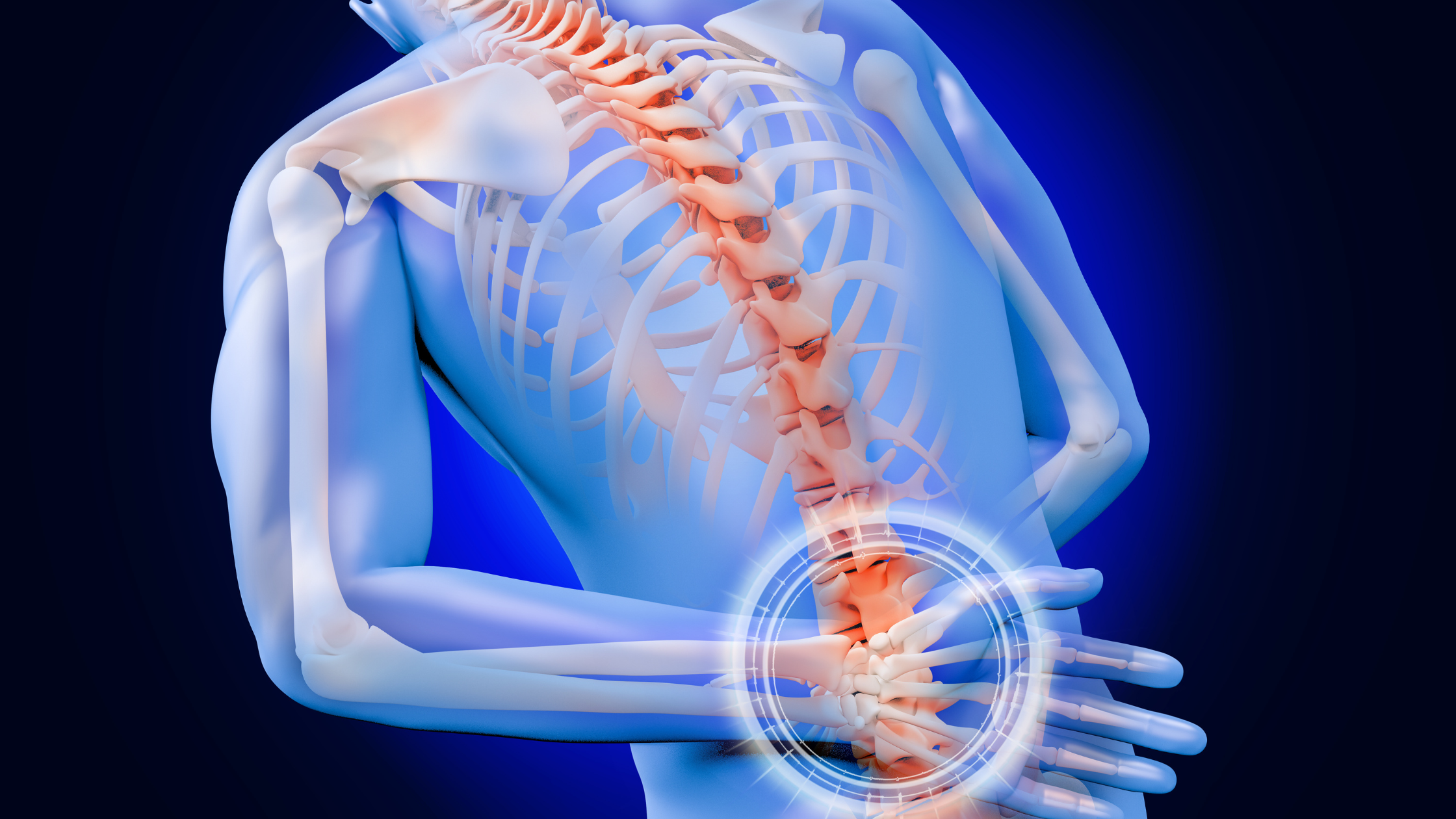 hip and low back pain