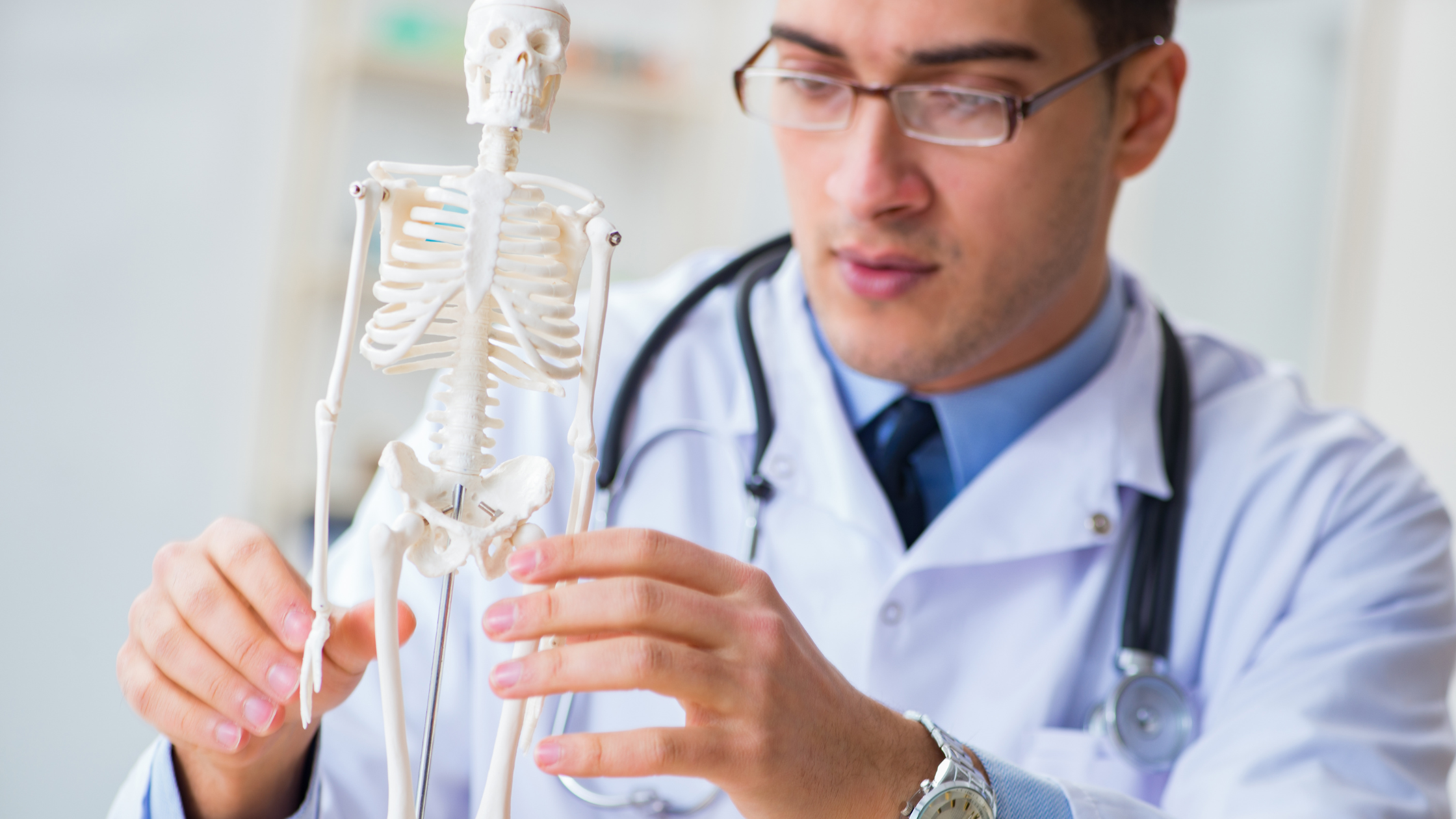 osteoporosis and spinal fractures on model of skeleton