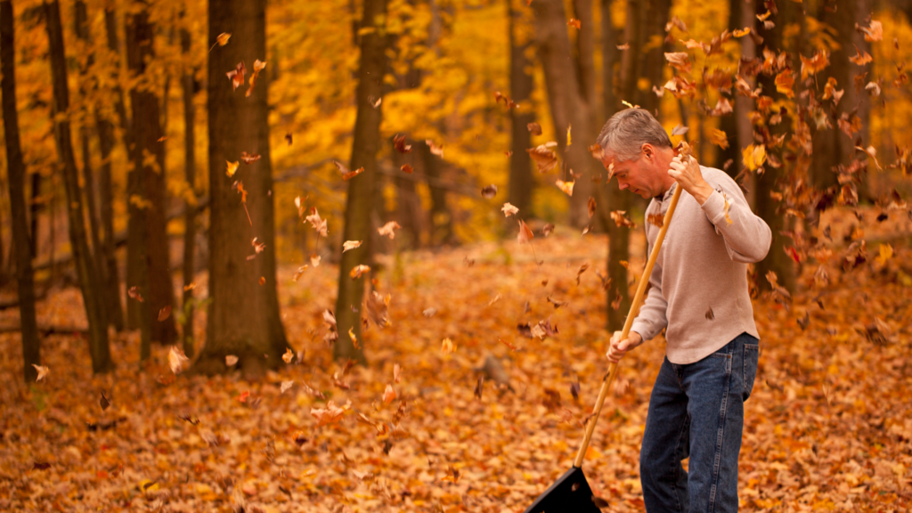 How Fall Activities Can Worsen Back Pain and How to Prevent It