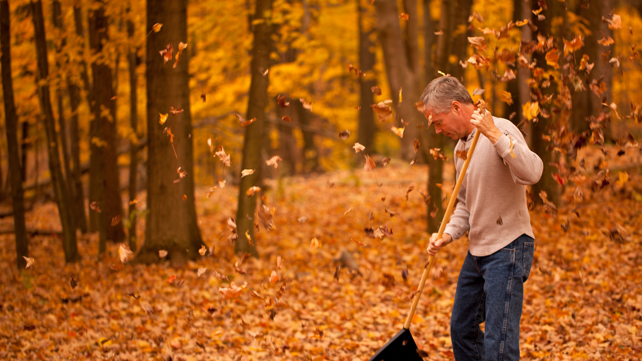 man raking leaves fall activities that worsen back pain